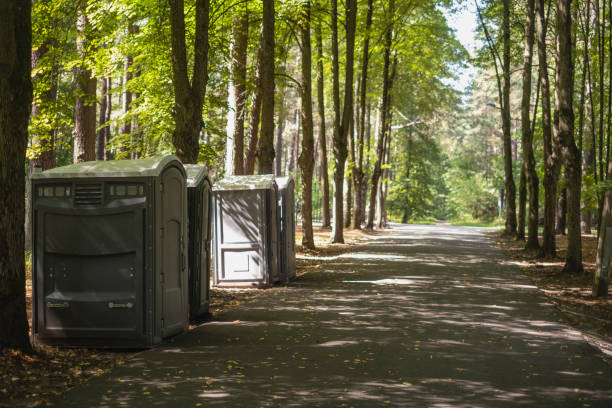  Rochester, MI Tree Removal Pros